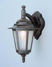  4056 WH - Alexander Outdoor 1-Light Frosted Glass and Metal Coach Wall Lantern